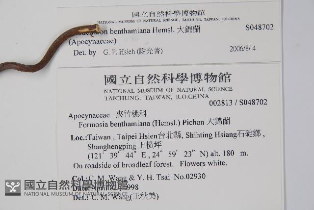 大錦蘭藏品圖，第2張