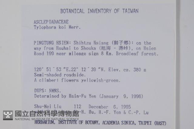 通天蓮藏品圖，第2張