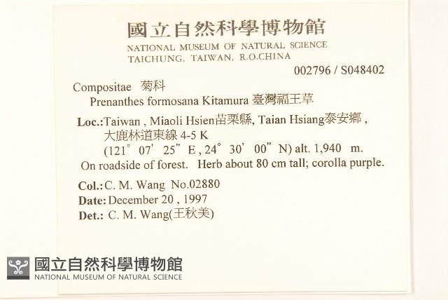 臺灣福王草藏品圖，第2張