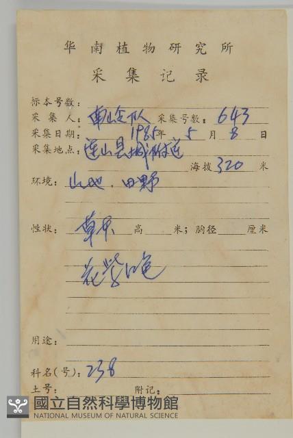 小葉一點紅藏品圖，第2張