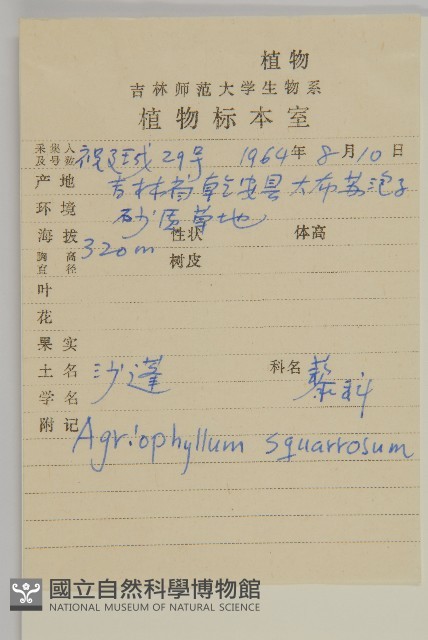 沙蓬藏品圖，第2張