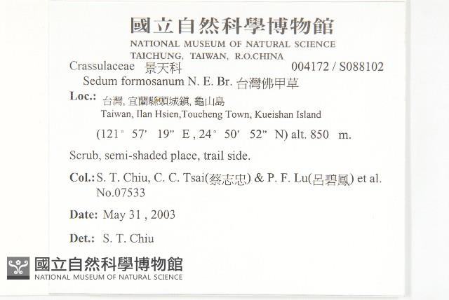 台灣佛甲草、石板菜藏品圖，第2張