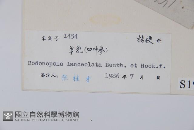 羊乳、四葉參藏品圖，第2張