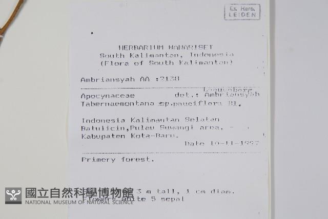 登錄號:S069802藏品圖，第2張