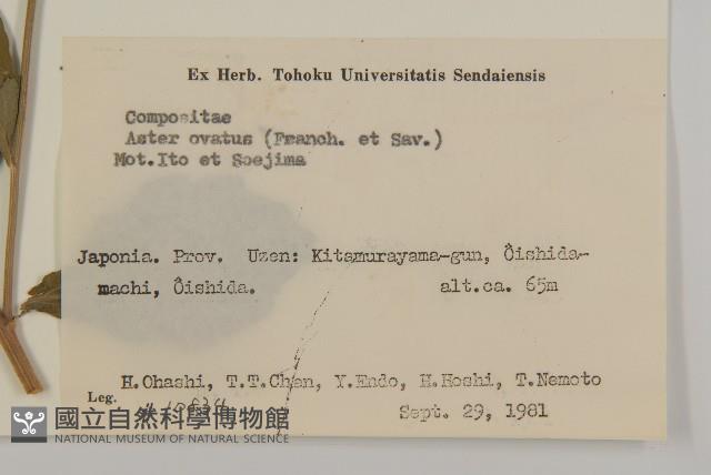 登錄號:S058612藏品圖，第2張