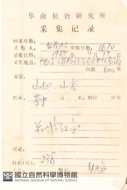 一枝香藏品圖，第2張