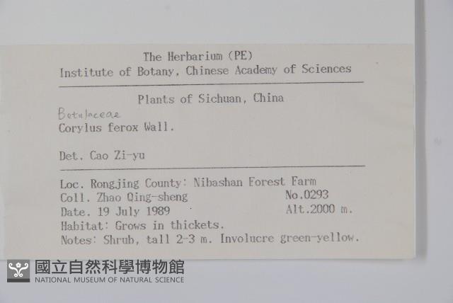 Accession Number:S018712 Collection Image, Figure 2, Total 2 Figures