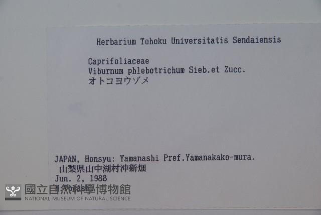 基隆莢迷藏品圖，第2張