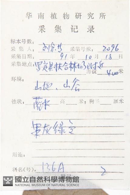 牛耳楓藏品圖，第2張