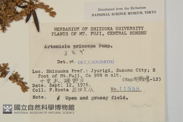 魁蒿藏品圖，第2張