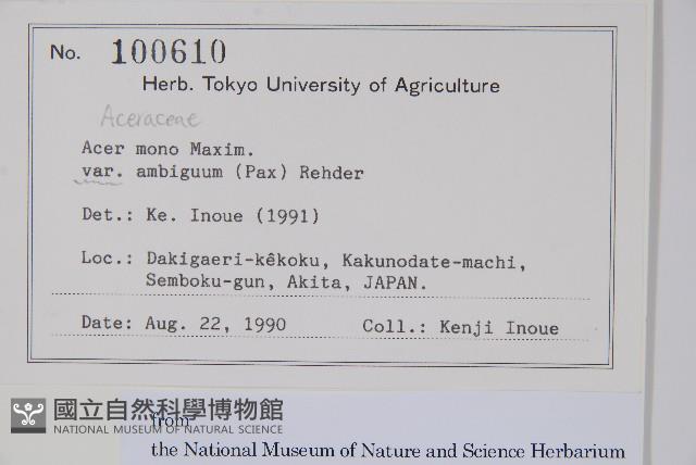 登錄號:S128212藏品圖，第2張