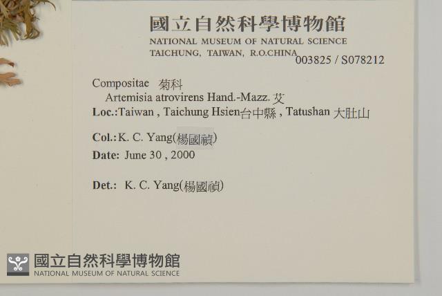 艾藏品圖，第2張