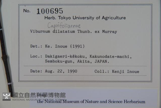 莢迷藏品圖，第2張