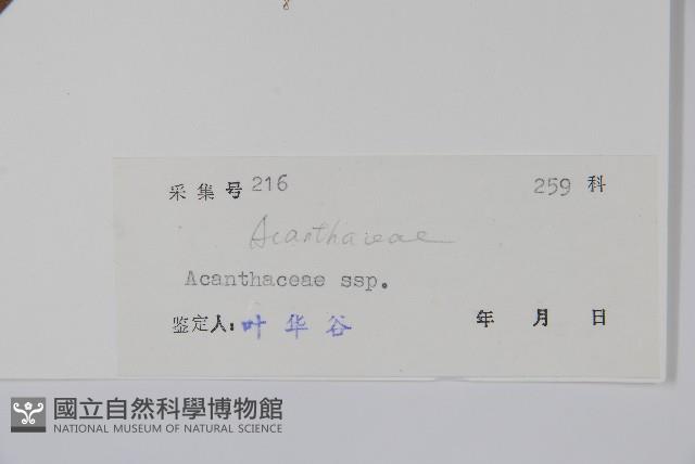 登錄號:S039312藏品圖，第2張