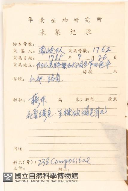 細脈斑鳩菊、毒根斑鳩菊藏品圖，第2張