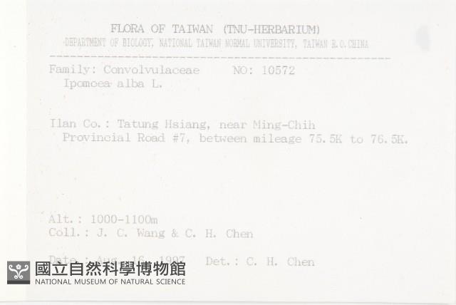 天茄兒藏品圖，第2張