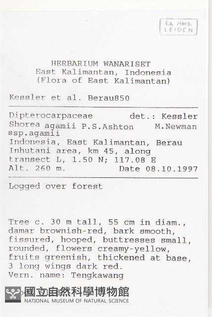 登錄號:S058812藏品圖，第2張