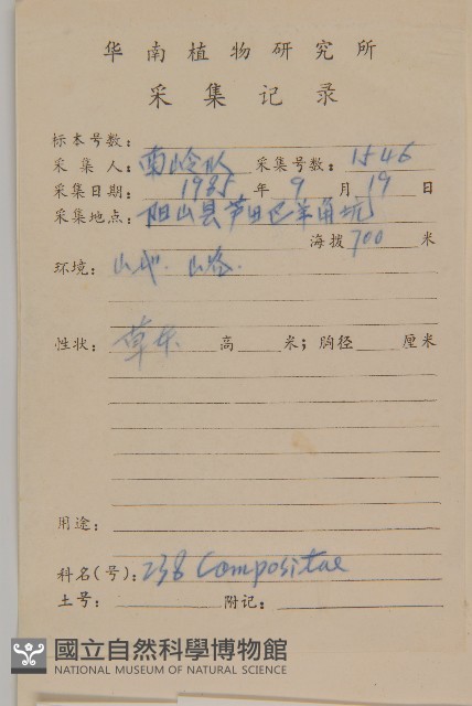 煙管草藏品圖，第2張