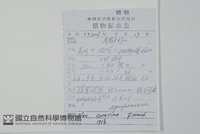 珊瑚冬青藏品圖，第2張