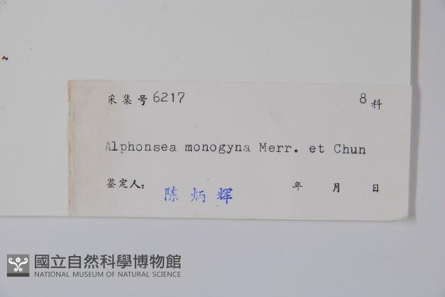 藤春藏品圖，第2張