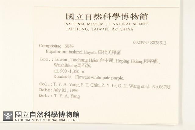 田代氏澤蘭藏品圖，第2張