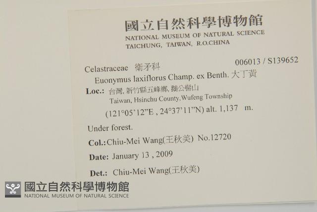 大丁黃藏品圖，第2張