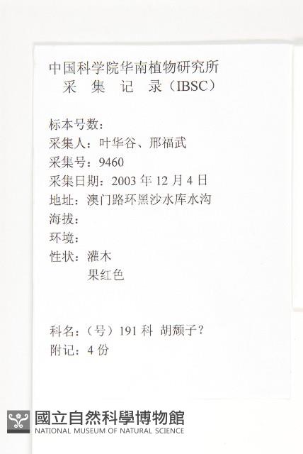 胡頹子藏品圖，第2張