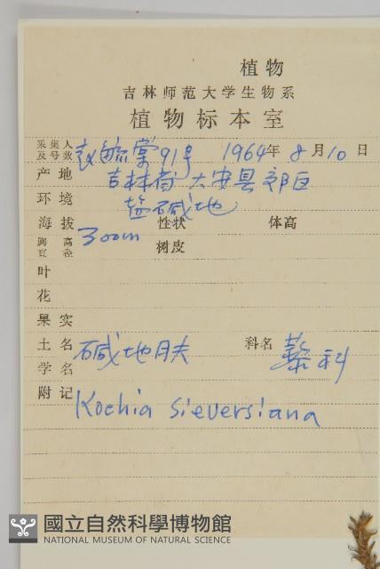 登錄號:S028052藏品圖，第2張