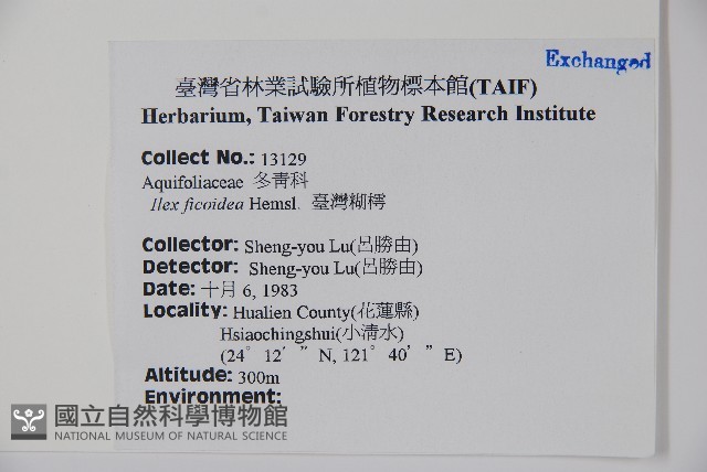 臺灣糊樗藏品圖，第2張