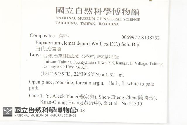 田代氏澤蘭藏品圖，第2張