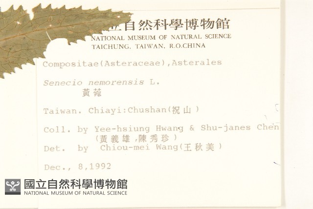 黃菀藏品圖，第2張