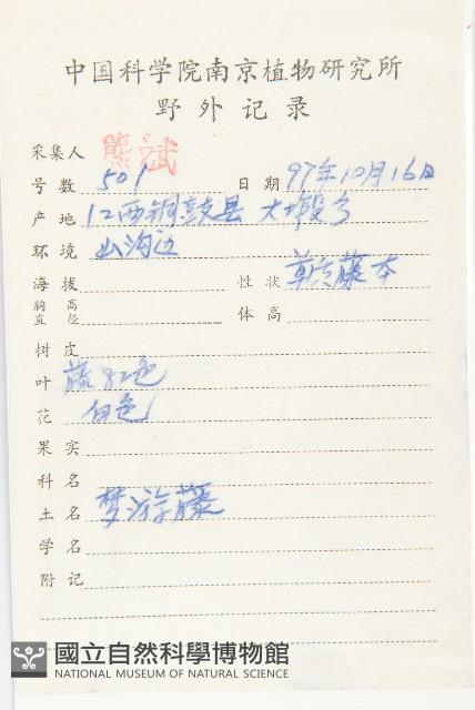 日本菟絲子藏品圖，第2張