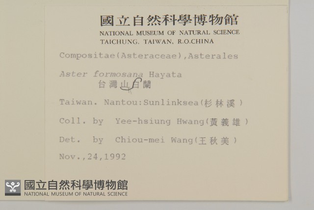 臺灣山白蘭藏品圖，第2張