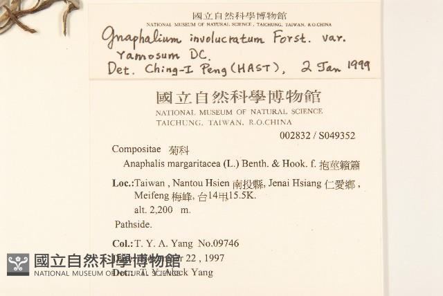 Accession Number:S049352 Collection Image, Figure 2, Total 2 Figures