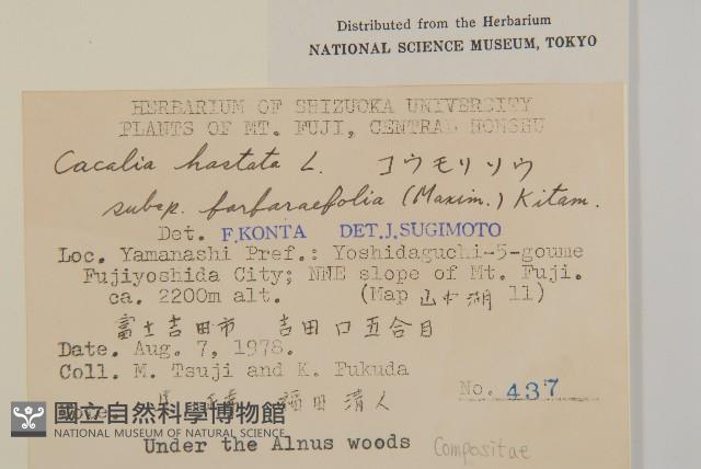 登錄號:S048852藏品圖，第2張