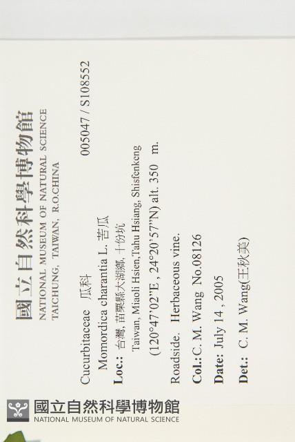 苦瓜藏品圖，第2張