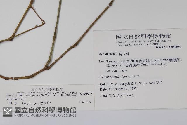 Accession Number:S049692 Collection Image, Figure 2, Total 2 Figures