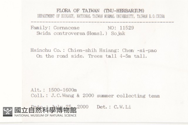 燈台樹藏品圖，第2張
