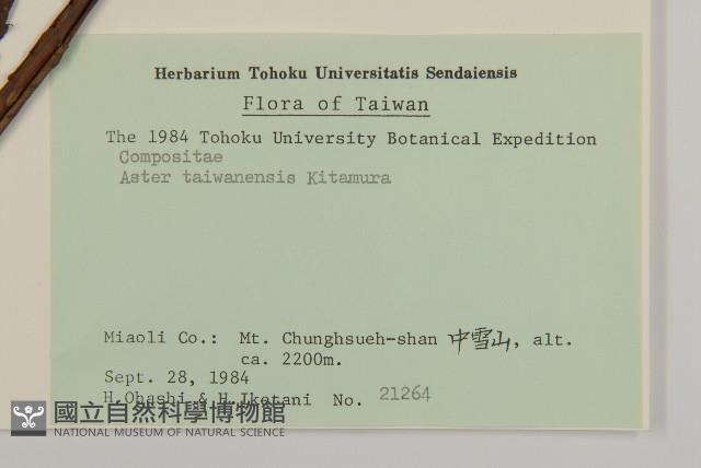 臺灣馬蘭藏品圖，第2張