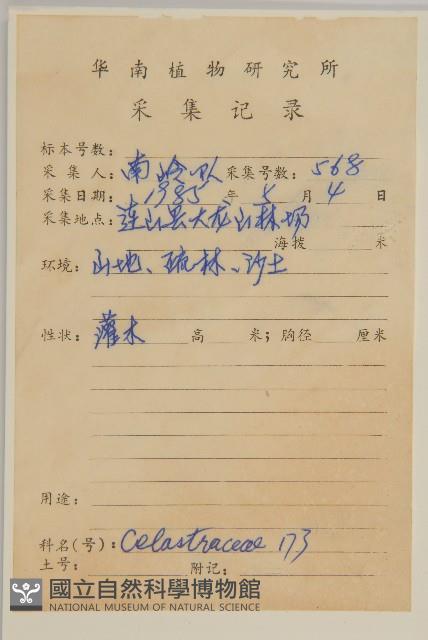 窄翅衛矛藏品圖，第2張