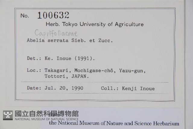 登錄號:S128092藏品圖，第2張