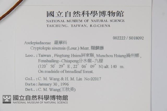 隱鱗藤藏品圖，第2張