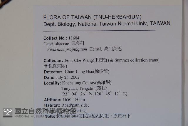 高山莢迷藏品圖，第2張