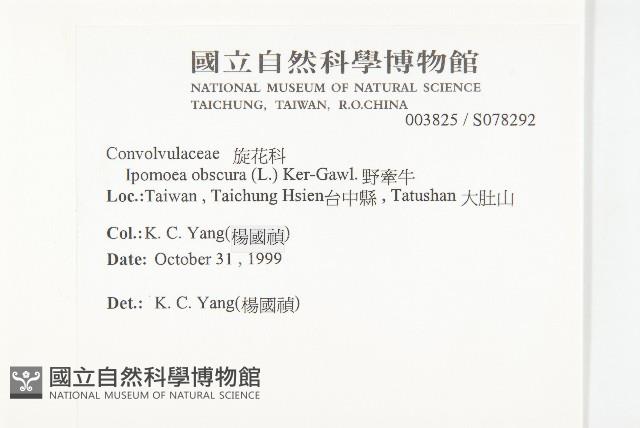 野牽牛藏品圖，第2張