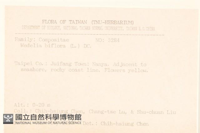 雙花蟛蜞菊藏品圖，第2張