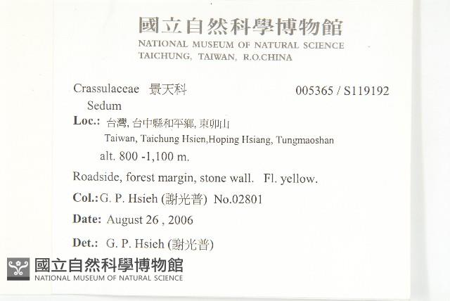 登錄號:S119192藏品圖，第2張