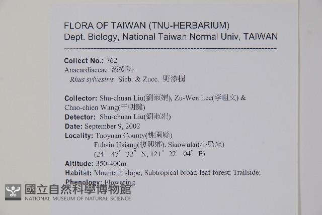 賊仔樹藏品圖，第2張