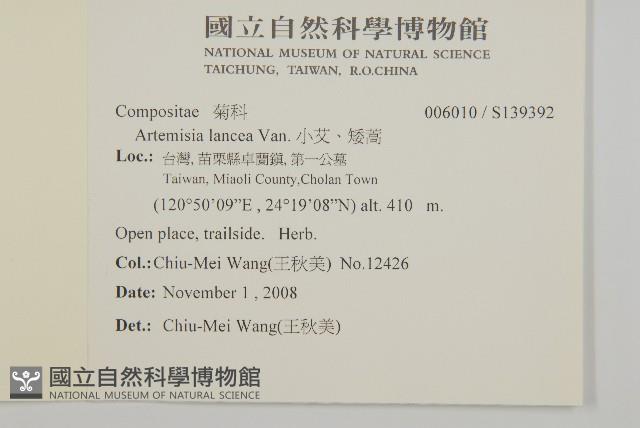 牡蒿藏品圖，第2張