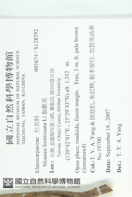 猴歡喜藏品圖，第2張