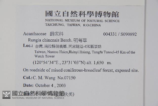 明萼草藏品圖，第2張